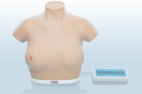 電子乳腺癌觸診、視診訓(xùn)練模型